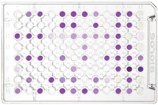 FF MicroPlate™ (GEN II rihmasienille)