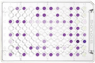 PM18C MicroPlate™ Bacterial chemical sensitivity