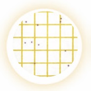 3M™ Petrifilm™ Staph Express Count Plates  (20x25)
